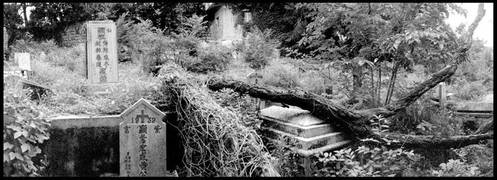 Close-up of abandoned wooden structure