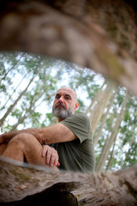 Low angle view of man climbing on tree