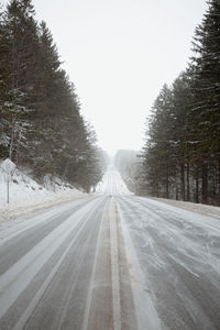 Empty road along snow covered trees