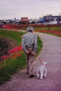 Rear view of man with dog walking on footpath