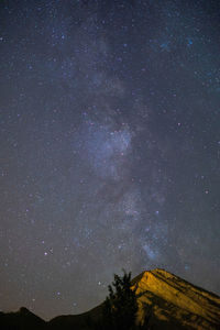 Low angle view of star field against sky at night