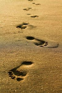 High angle view of footprints on sand at beach