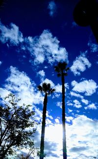 Low angle view of silhouette trees against sky at night