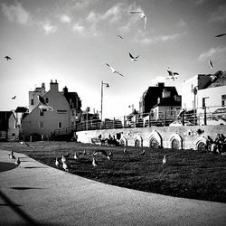 View of buildings against sky