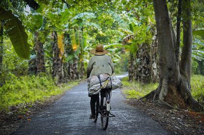 Rear view of person riding bicycle on road