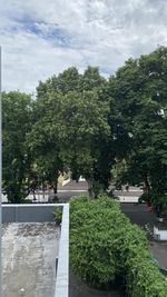 Trees and plants in park against sky