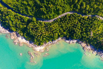 Aerial view of tropical rainforest coastline road in thailand