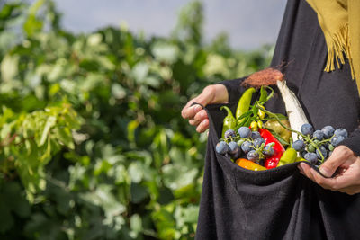 Midsection of man holding fruit on plant