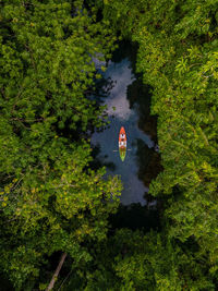 High angle view of lake in forest