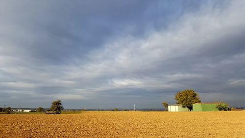 Scenic view of agricultural field against sky