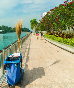 Rear view of person on footpath by sea against sky