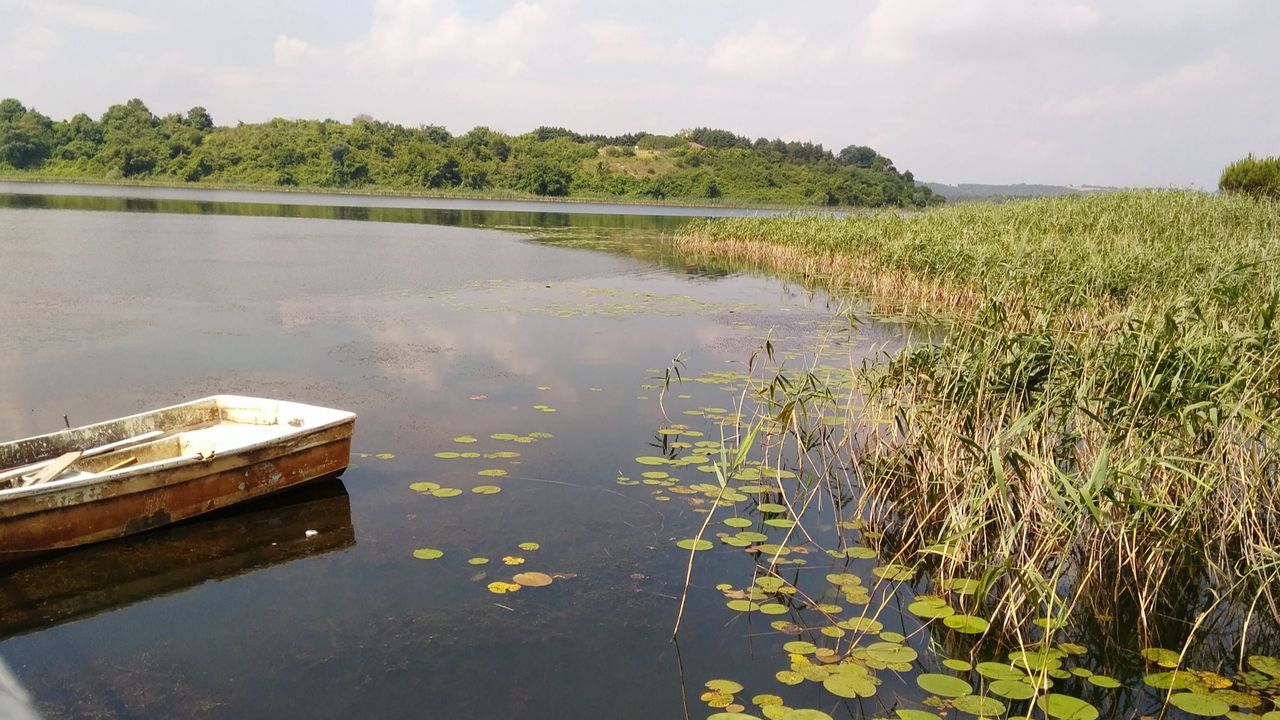 water, plant, reflection, tranquility, growth, nature, lake, beauty in nature, day, tranquil scene, sky, no people, scenics - nature, tree, nautical vessel, transportation, cloud - sky, green color, grass, outdoors, floating on water