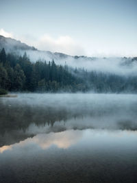 Foggy lake scape and vibrant autumn colors in trees at sunrise. concepts tranquility, nature,fog