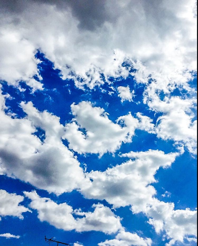 low angle view, sky, cloud - sky, cloudy, blue, cloud, beauty in nature, tranquility, sky only, nature, cloudscape, scenics, white color, tranquil scene, backgrounds, day, outdoors, white, no people, idyllic