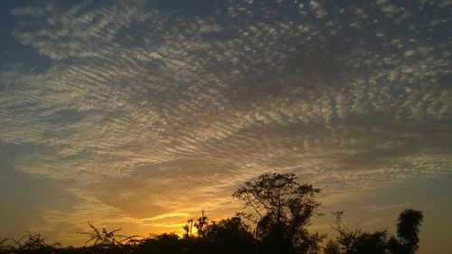 Low angle view of silhouette trees against sky at sunset