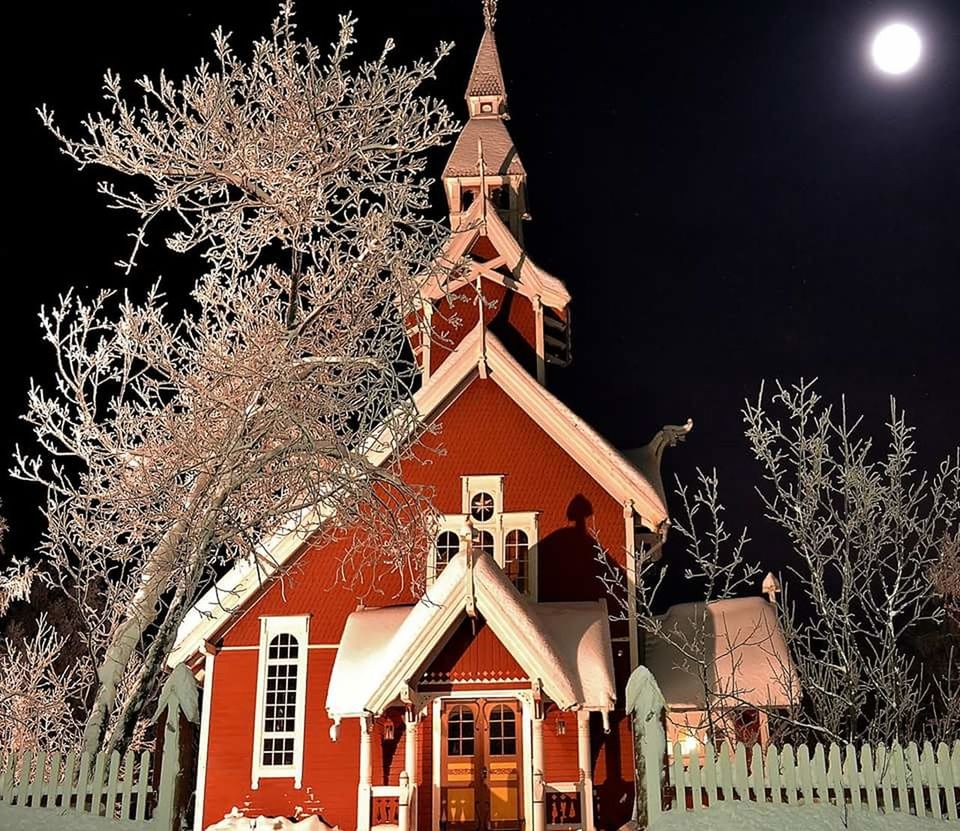 VIEW OF CHRISTMAS TREE AT NIGHT