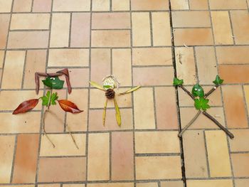 High angle view of insect on tiled floor
