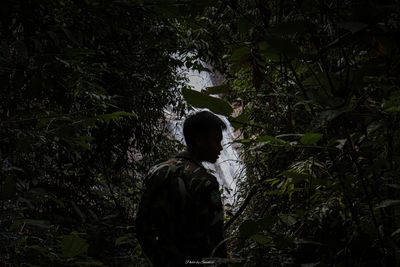 Rear view of man standing in forest