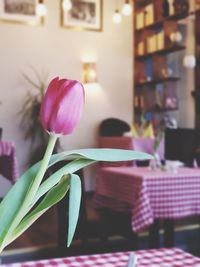 Close-up of pink rose in vase on table at home