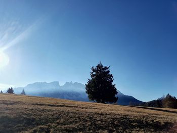 Scenic view of field against clear blue sky