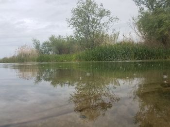 Scenic view of lake against sky