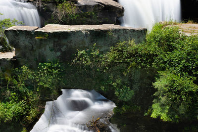 View of waterfall in forest