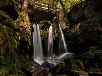 Scenic view of waterfall in forest