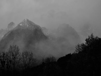 Low angle view of trees and mountains against sky