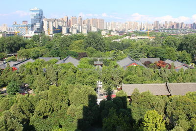 High angle view of trees and buildings in city