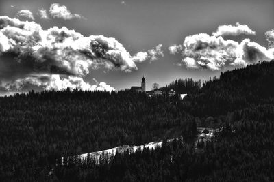 Panoramic view of trees against sky