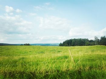 Scenic view of field against sky