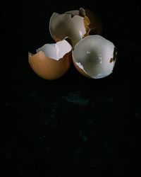 View of trees at night