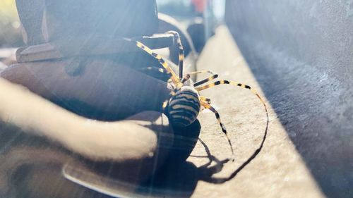Low section of man holding umbrella on street