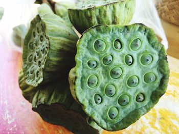 Close up of green leaf