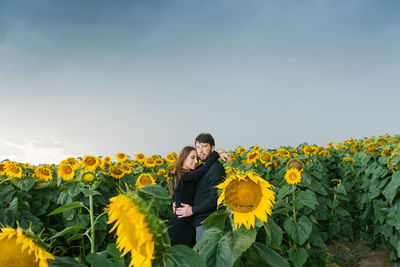 A happy couple in love are walking in summer among sunflowers, enjoying each other