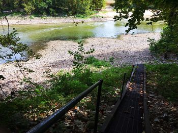 High angle view of river by trees