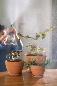 Close-up of potted plant on table