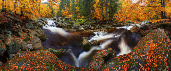 Stream flowing through rocks in forest during autumn