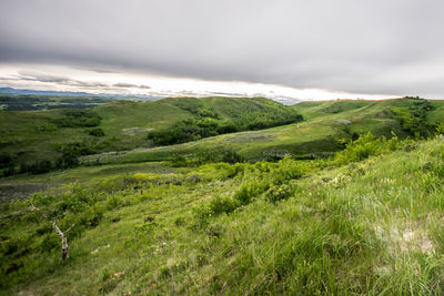 Scenic view of landscape against sky