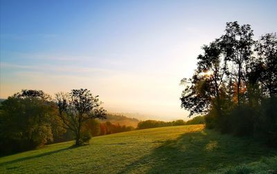 Scenic view of field against sky during sunset