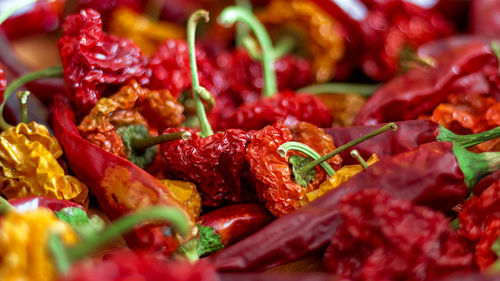 Close-up of dry red chili peppers