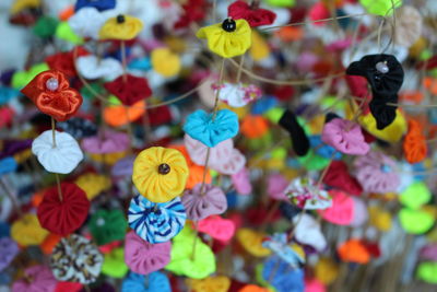 Close-up of multi colored flowers