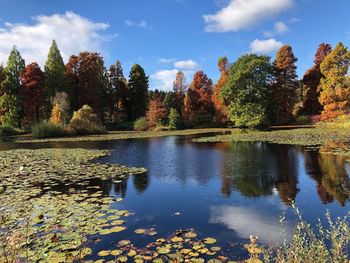 Scenic view of lake by trees against sky