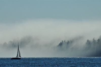 Sailboat sailing on sea against sky