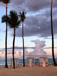 Palm trees on beach against sky