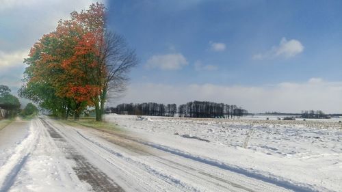 Snow covered road by trees against sky