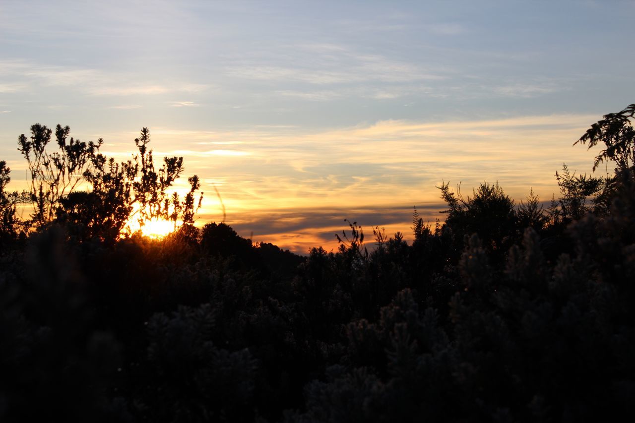 Nyanga, Zimbabwe