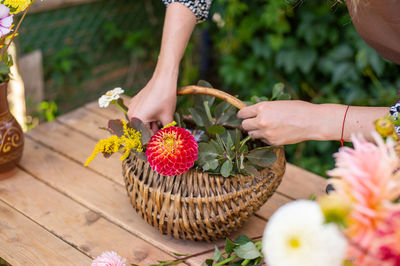 The florist makes a bouquet in a basket of dahlias and asters