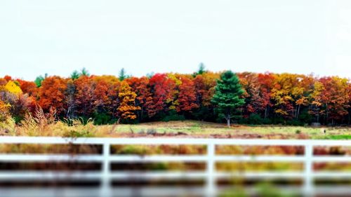 Scenic view of landscape against clear sky