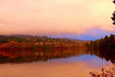 Scenic view of lake by trees against sky